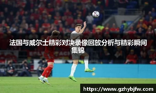 法国与威尔士精彩对决录像回放分析与精彩瞬间集锦