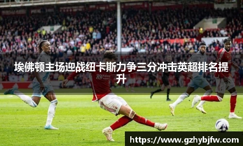 埃佛顿主场迎战纽卡斯力争三分冲击英超排名提升
