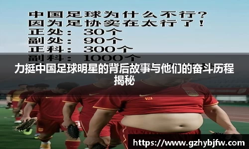 vsports体育在线官网